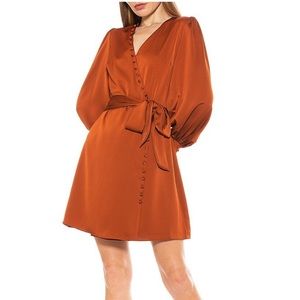 ALEXIA ADMOR
Arya Button-Front Wrap Dress NWOT